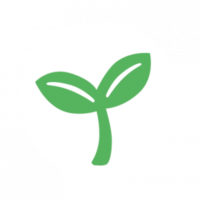 LIFEBAR myrtille quinoa BIO & CRU