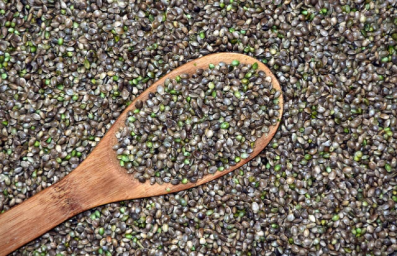 “Miracle grain” hemp seed