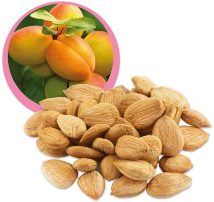 Raw Organic Sweet Apricot Kernels