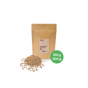 Raw Organic Sunflower Seeds