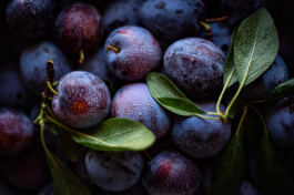 Plum - A delicious fruit