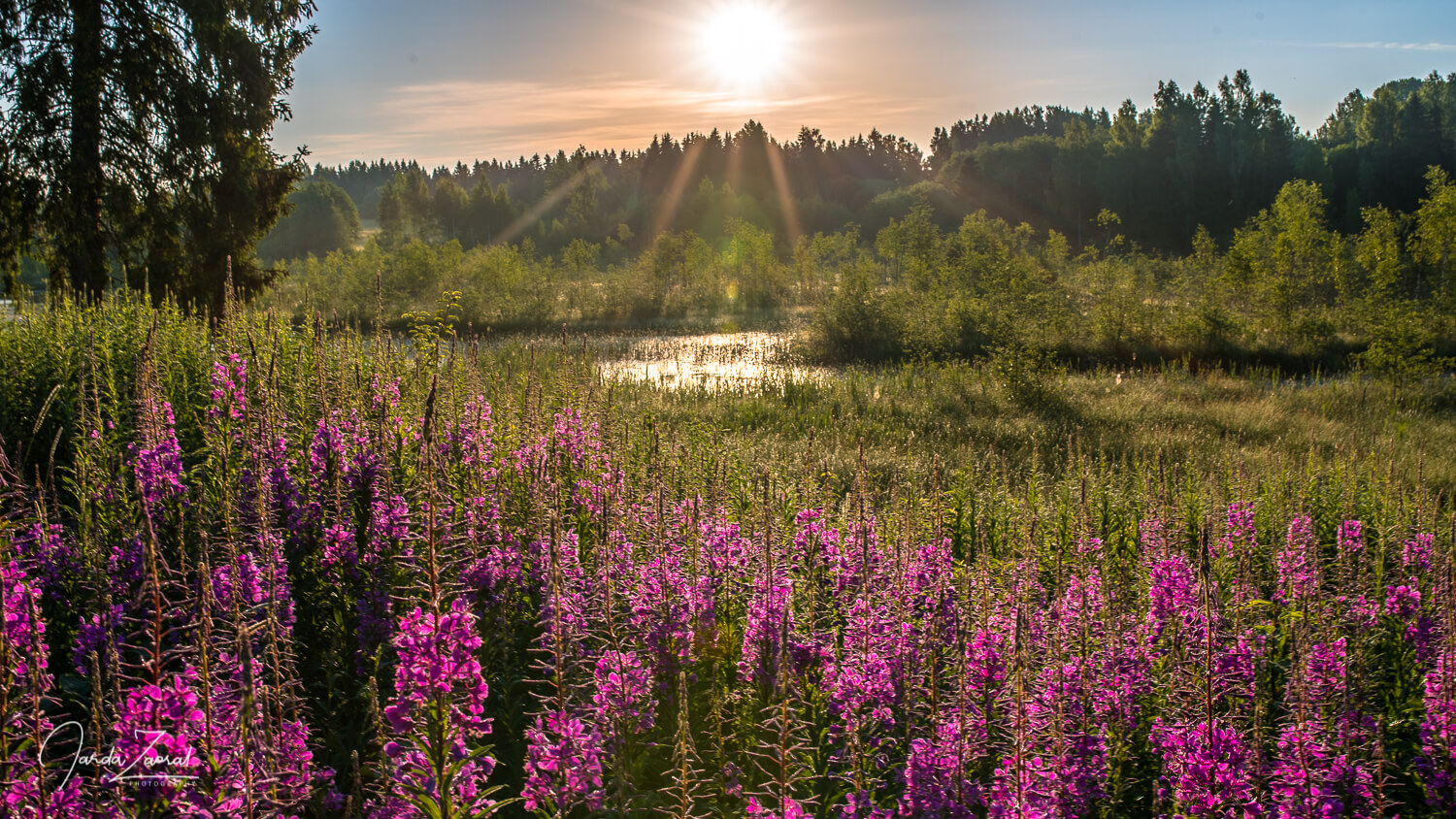 Estonia