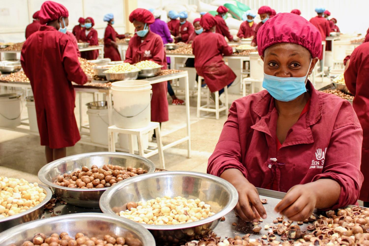 Une ferme de macadamias légèrement différente