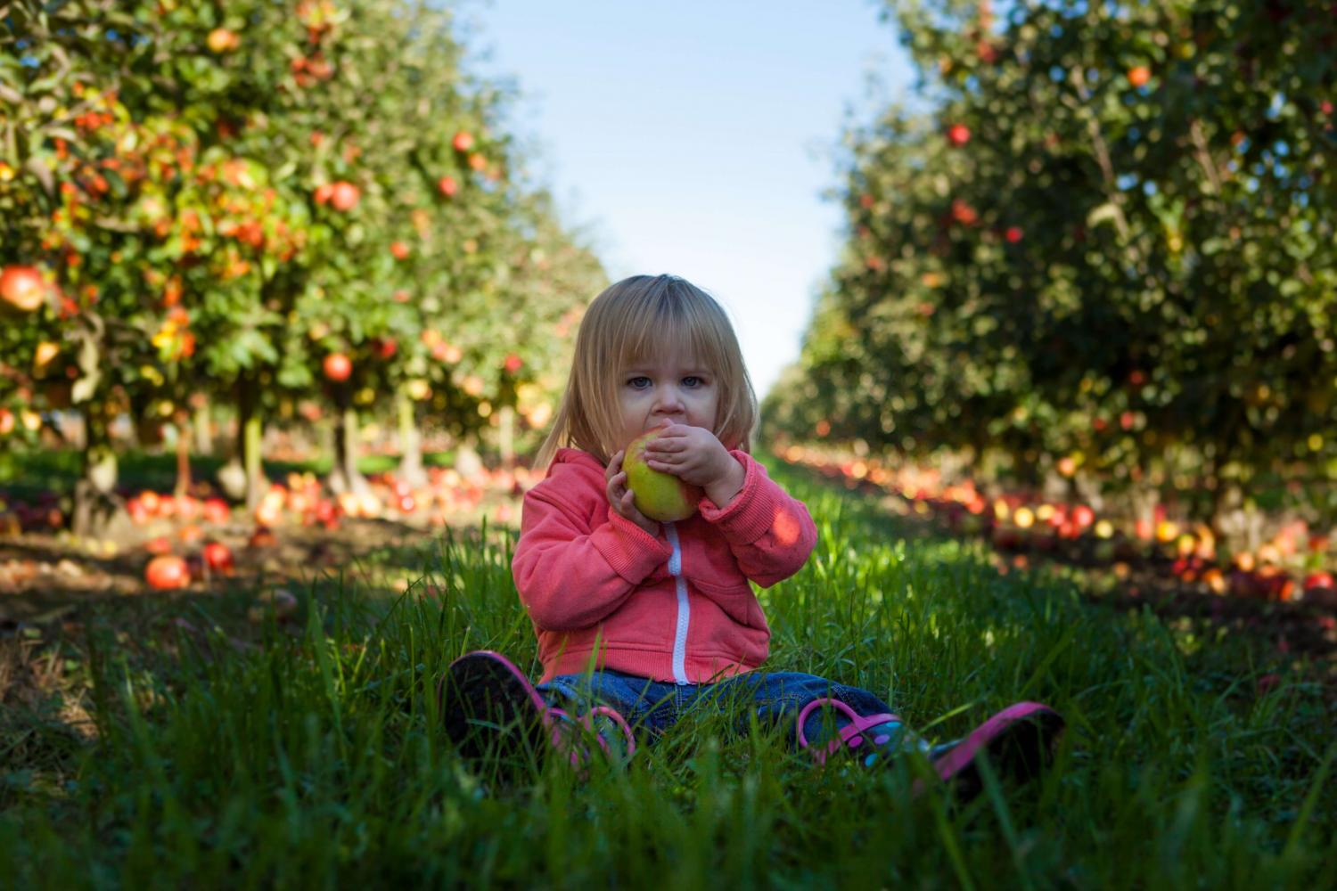 Girls eating apple