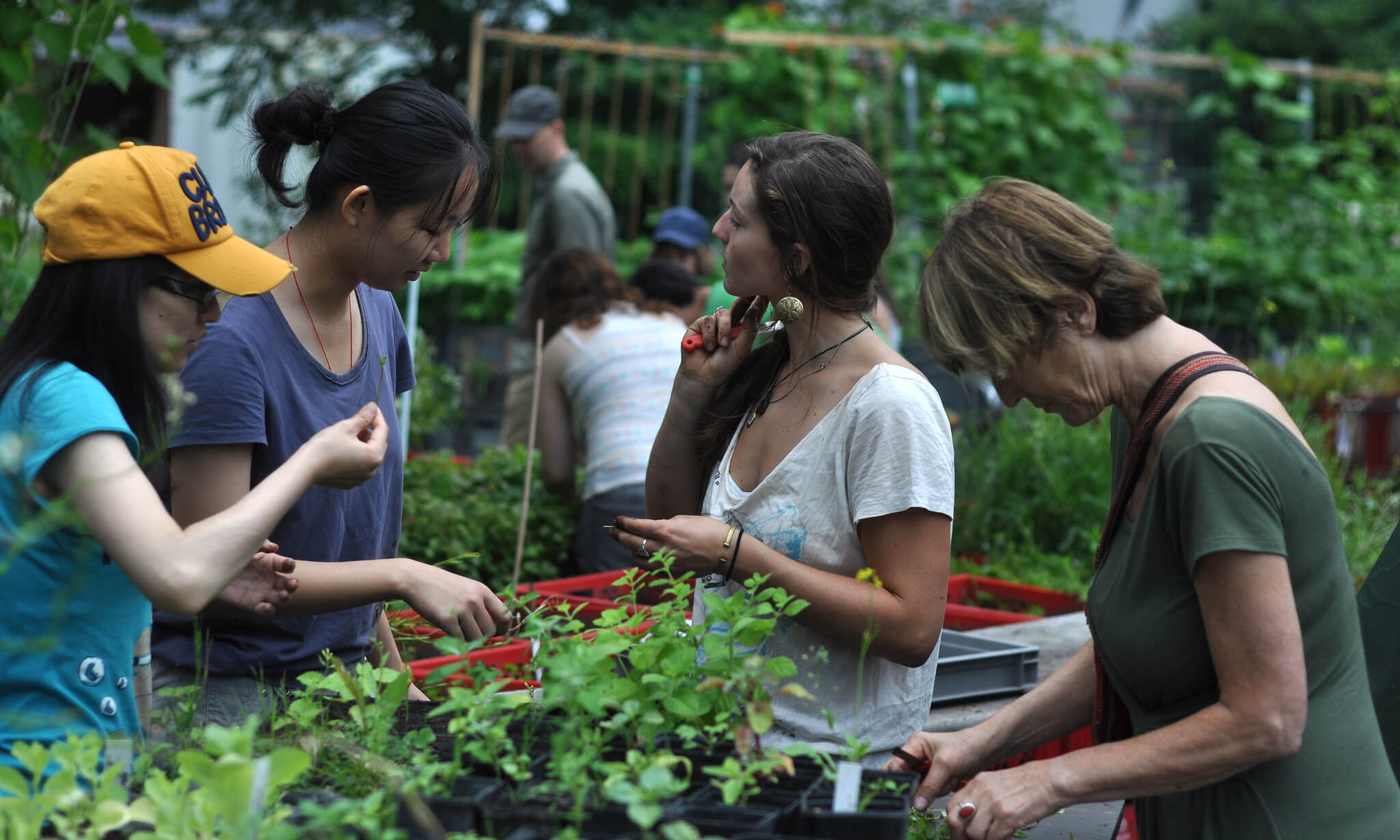 Community Gardening