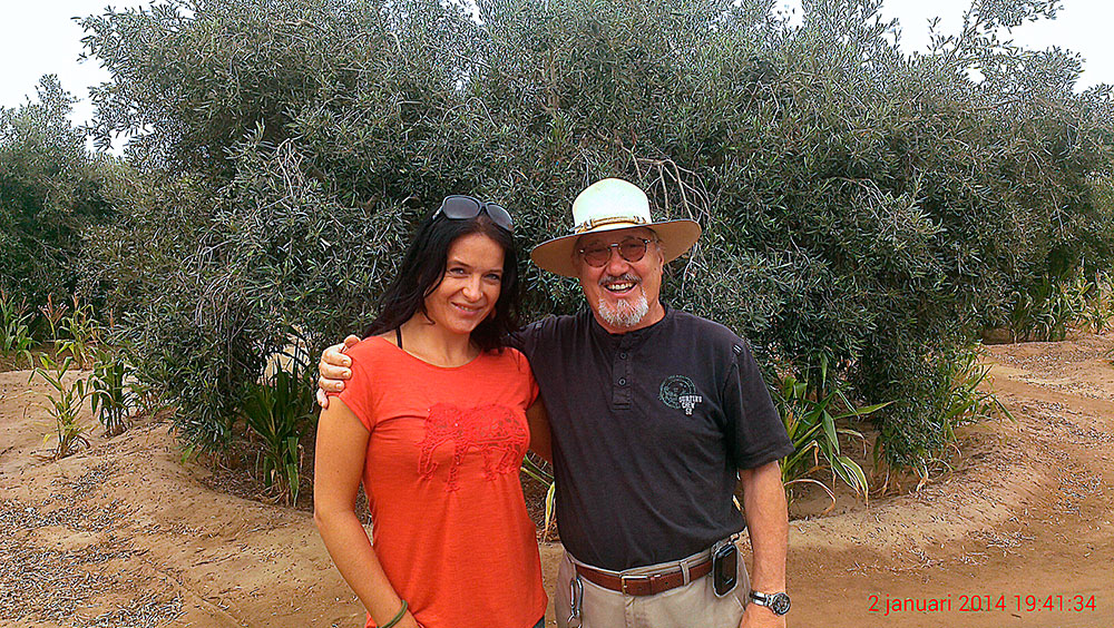 Olive farm