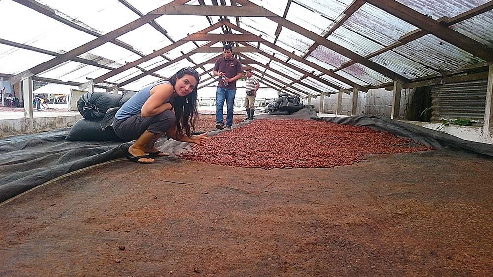 Cocoa farm in Peru