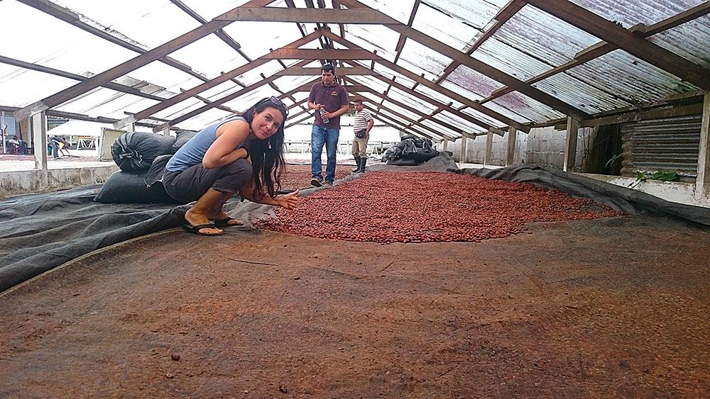 Cocoa farm in Peru Cocoa farm in Peru