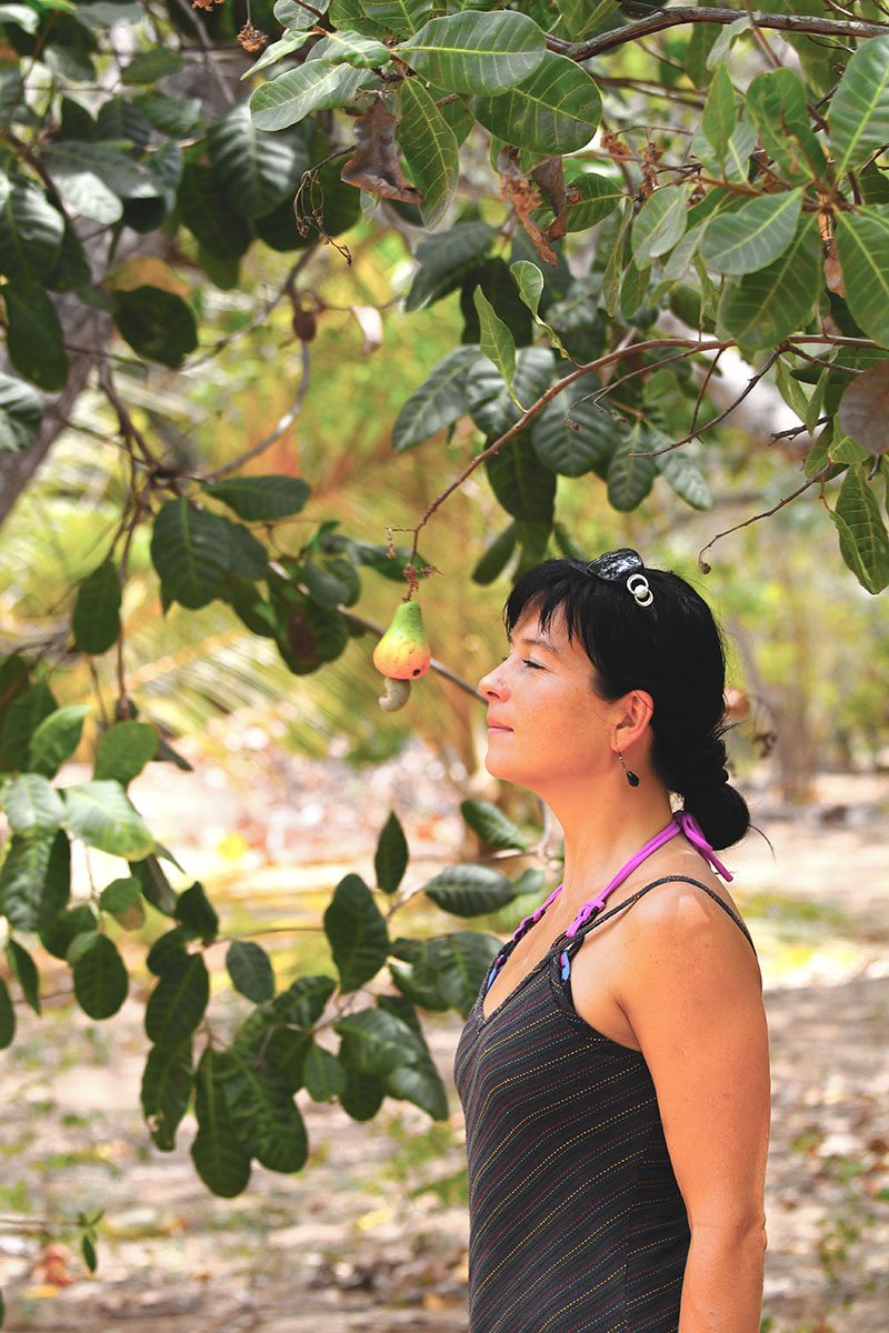 Cashew Farm Bali