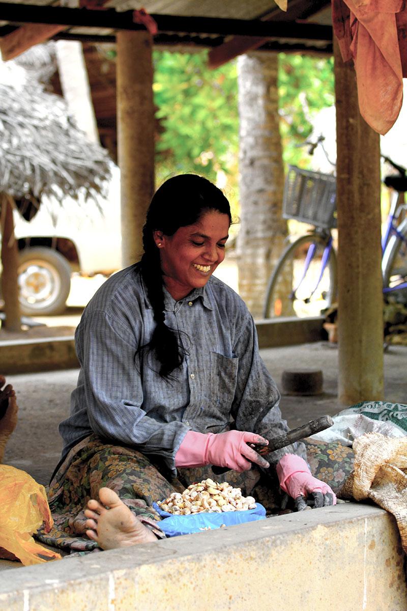 The visit of a cashew farm with a difference