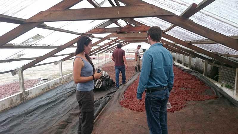 La salle de séchage. Les anciennes pratiques sont respectées dans cette ferme et les fruits sèchent naturellement au soleil ou à une température naturelle. 