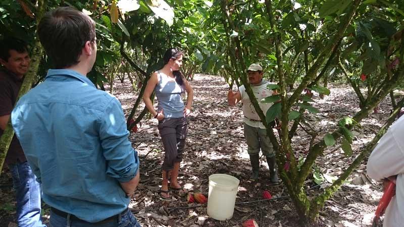 Kakaofarm in Peru