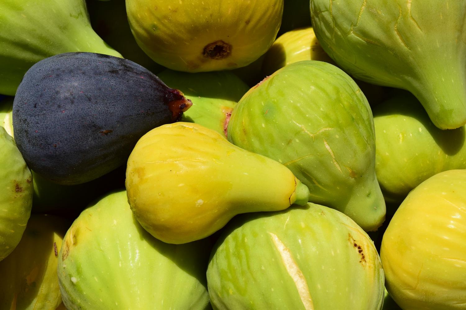 Les figues - un fruit d’automne gourmand et savoureux