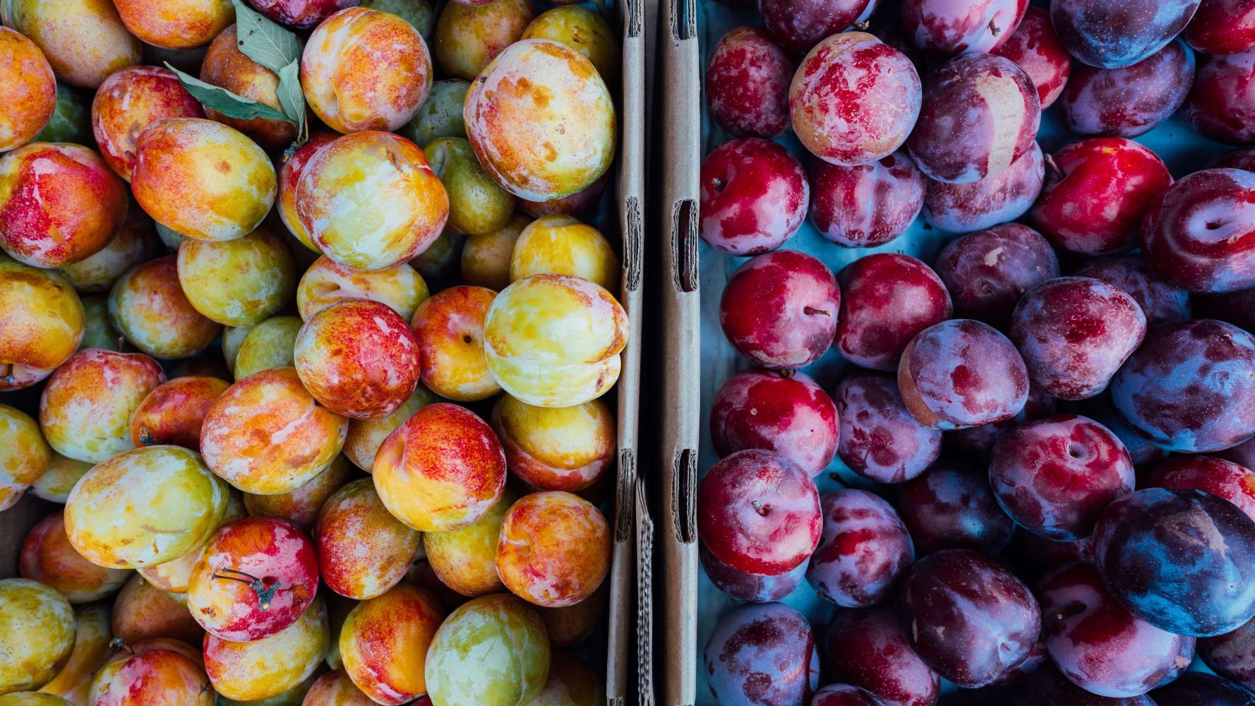 La prune est un fruit délicieux et plutôt pratique à emporter. Le pruneau en particulier est un très bon diurétique. Le contenu en fibres alimentaires du pruneau est environ 5 fois plus élevé que la prune.