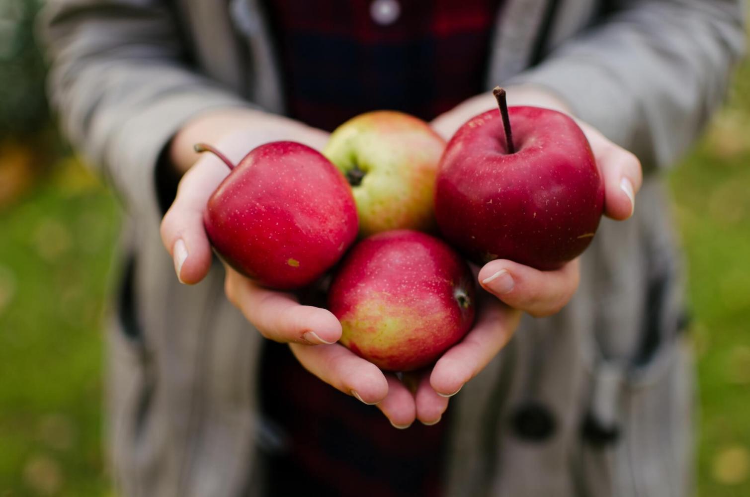 Veganismus – aus gesundheitlicher Sicht