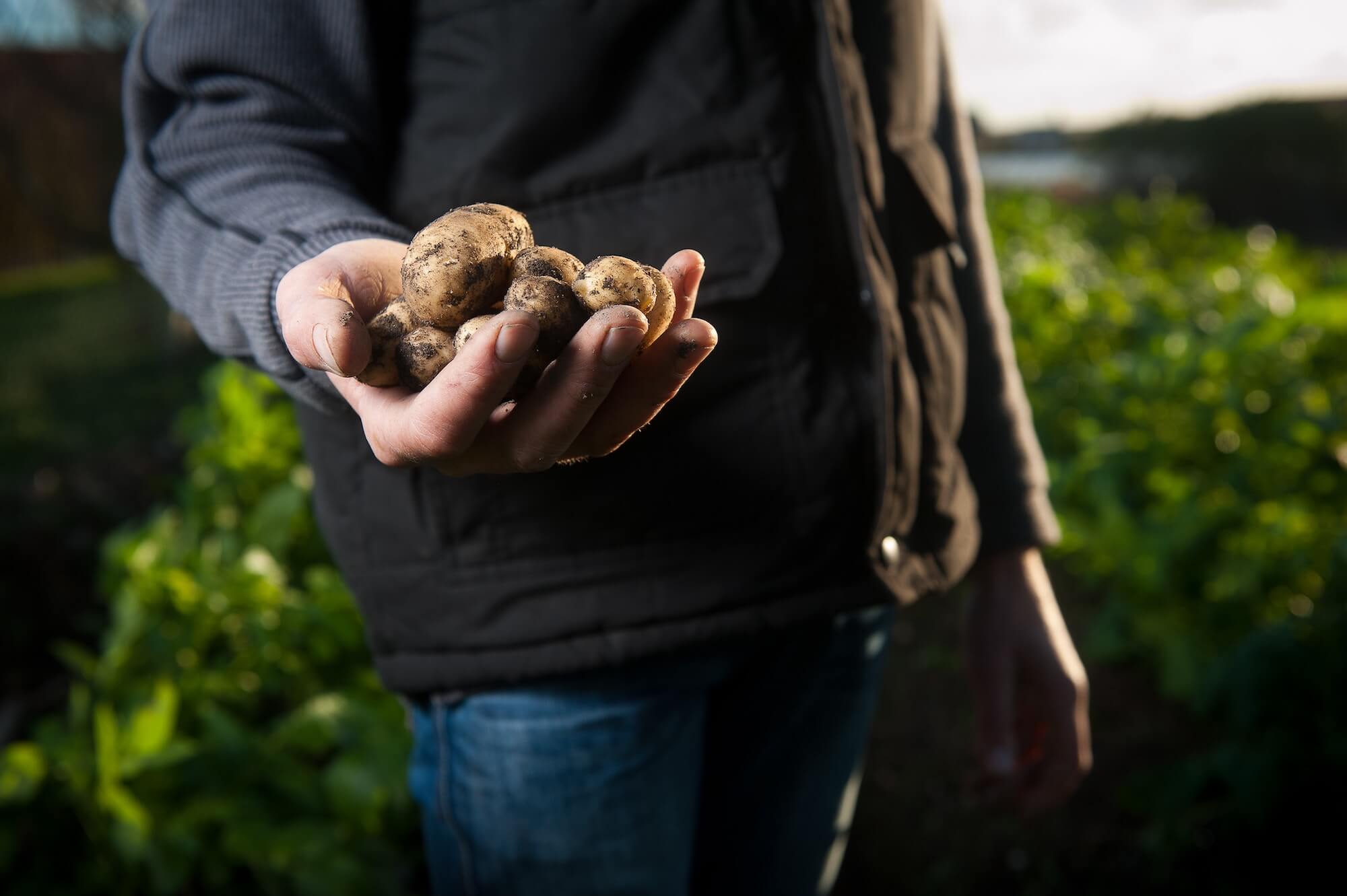 Versteckte Kosten in der Landwirtschaft