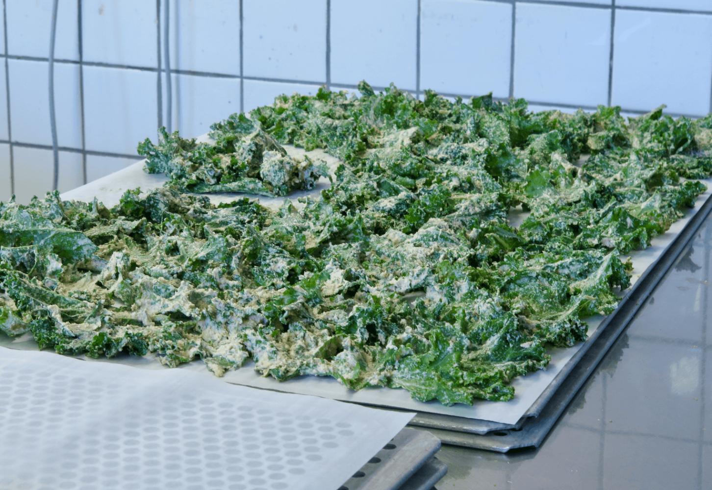 Du champ directement à vous : Chips de kale de saison sont arrivées !