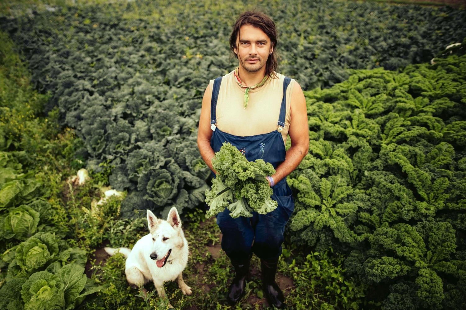 Du champ directement à vous : Chips de kale de saison sont arrivées !