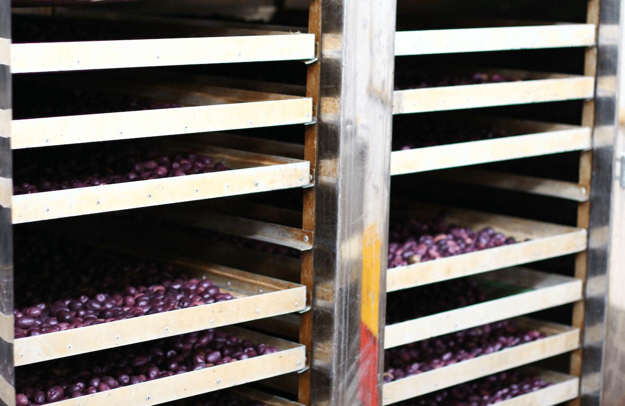 Would you like to know where Lifefood’s raw olives come from?