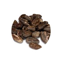Raw Organic Cacao Beans Hand-peeled