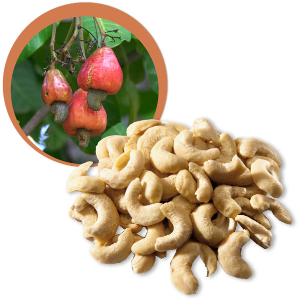 Rohe Cashews